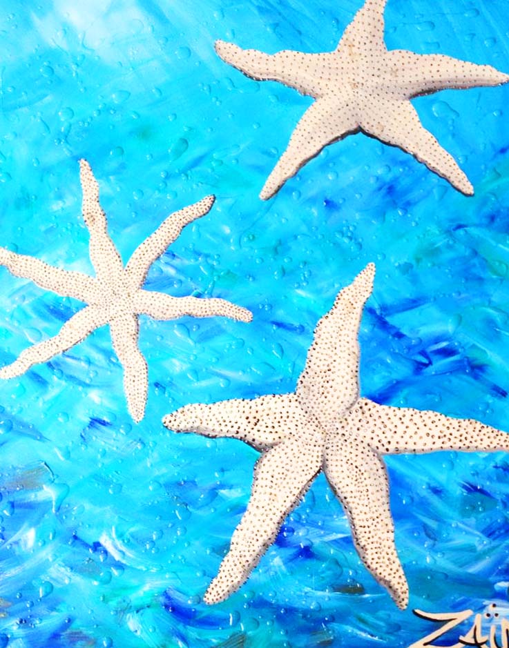 Étoiles de mer, 2013