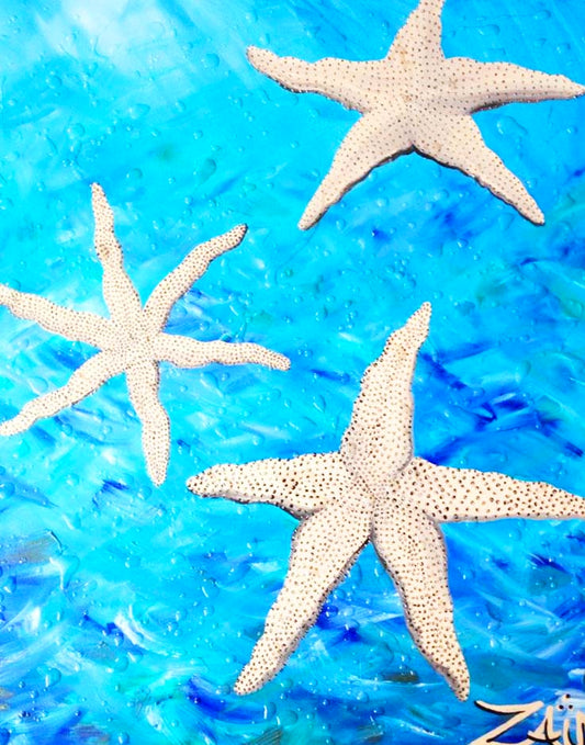 Étoiles de mer, 2013